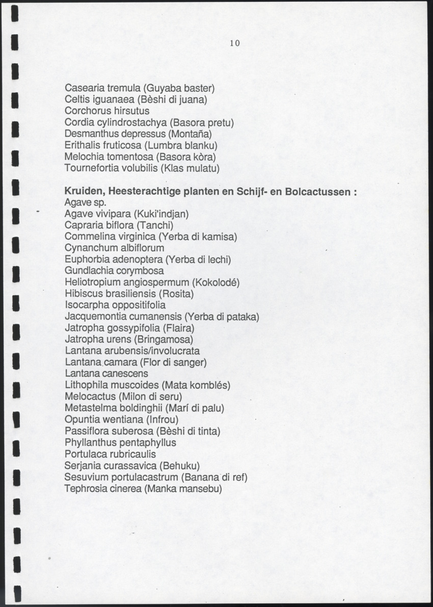Inventarisatie-rapport van het schiereiland Caracasbaai - New Page