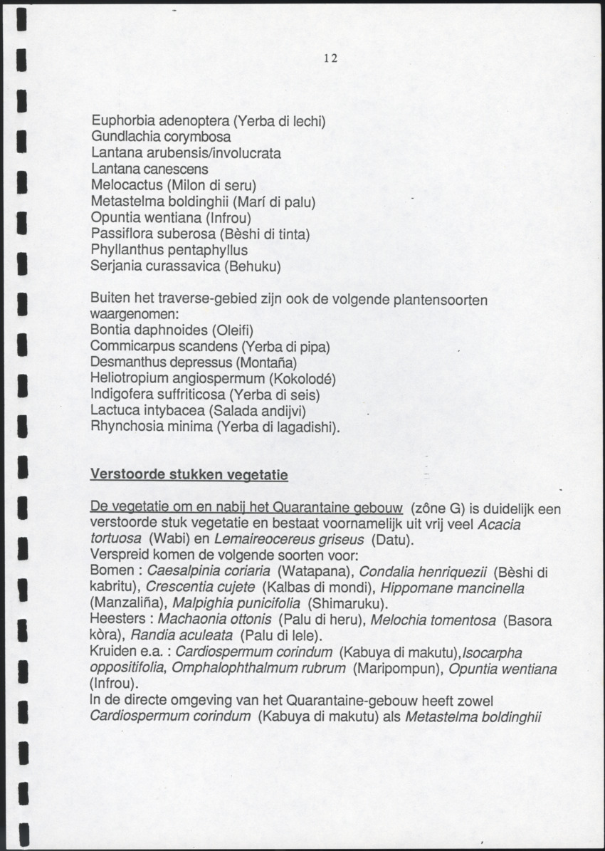 Inventarisatie-rapport van het schiereiland Caracasbaai - New Page