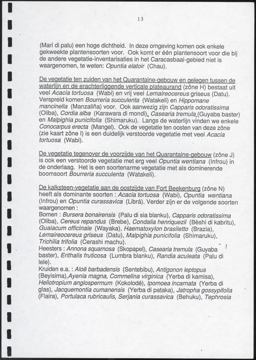 Inventarisatie-rapport van het schiereiland Caracasbaai - New Page