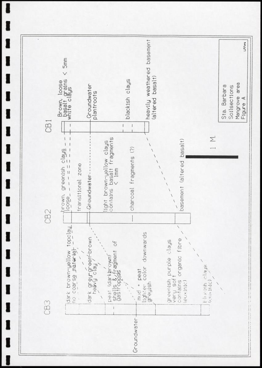 Z Brief biological inventory of the north-west sector of Santa Barbara Estate and the bordering marine areas - New Page