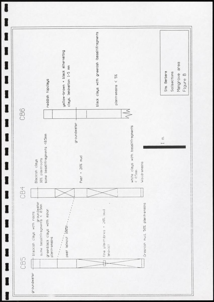 Z Brief biological inventory of the north-west sector of Santa Barbara Estate and the bordering marine areas - New Page