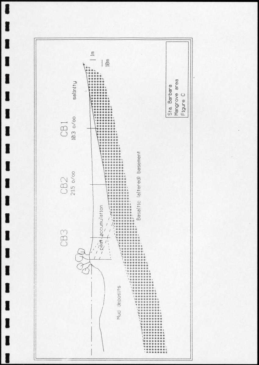 Z Brief biological inventory of the north-west sector of Santa Barbara Estate and the bordering marine areas - New Page