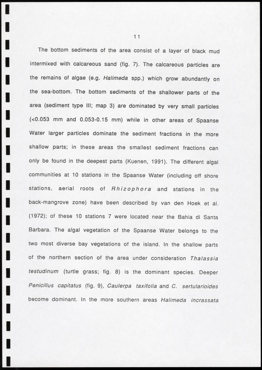 Z Brief biological inventory of the north-west sector of Santa Barbara Estate and the bordering marine areas - New Page