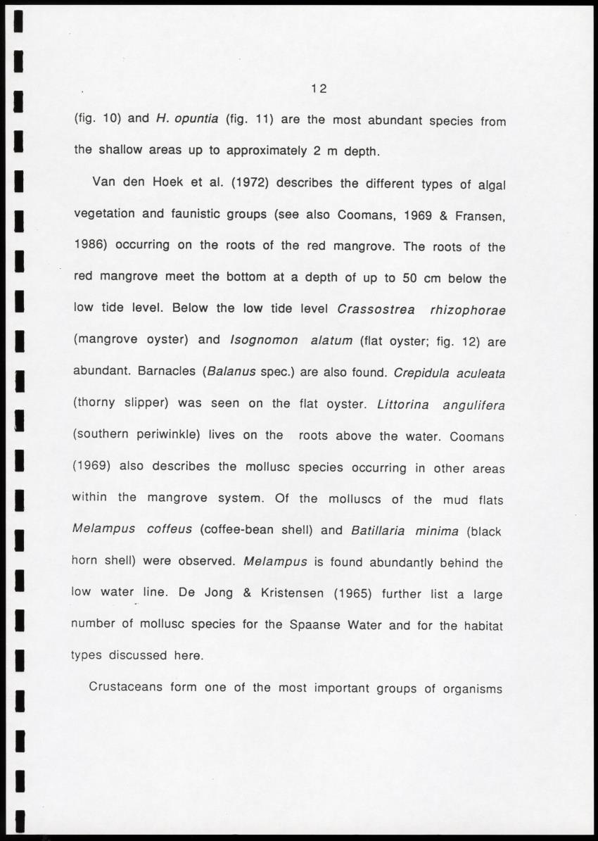 Z Brief biological inventory of the north-west sector of Santa Barbara Estate and the bordering marine areas - New Page