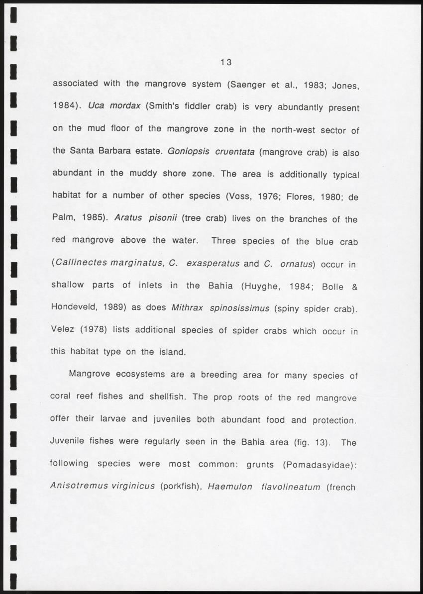 Z Brief biological inventory of the north-west sector of Santa Barbara Estate and the bordering marine areas - New Page