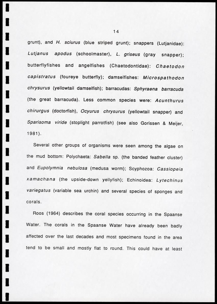 Z Brief biological inventory of the north-west sector of Santa Barbara Estate and the bordering marine areas - New Page