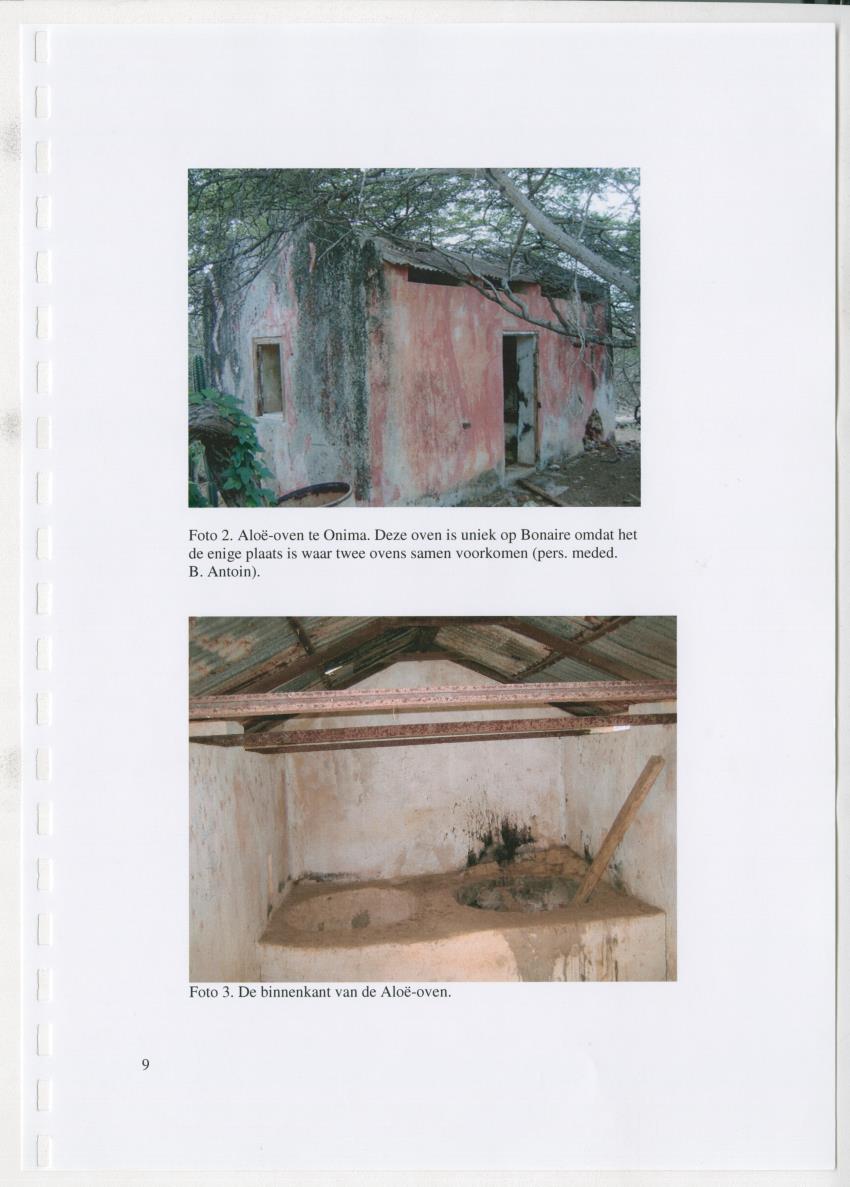 z Natuur- en cultuurhistorische waarden van plantage Onima, Bonaire - New Page