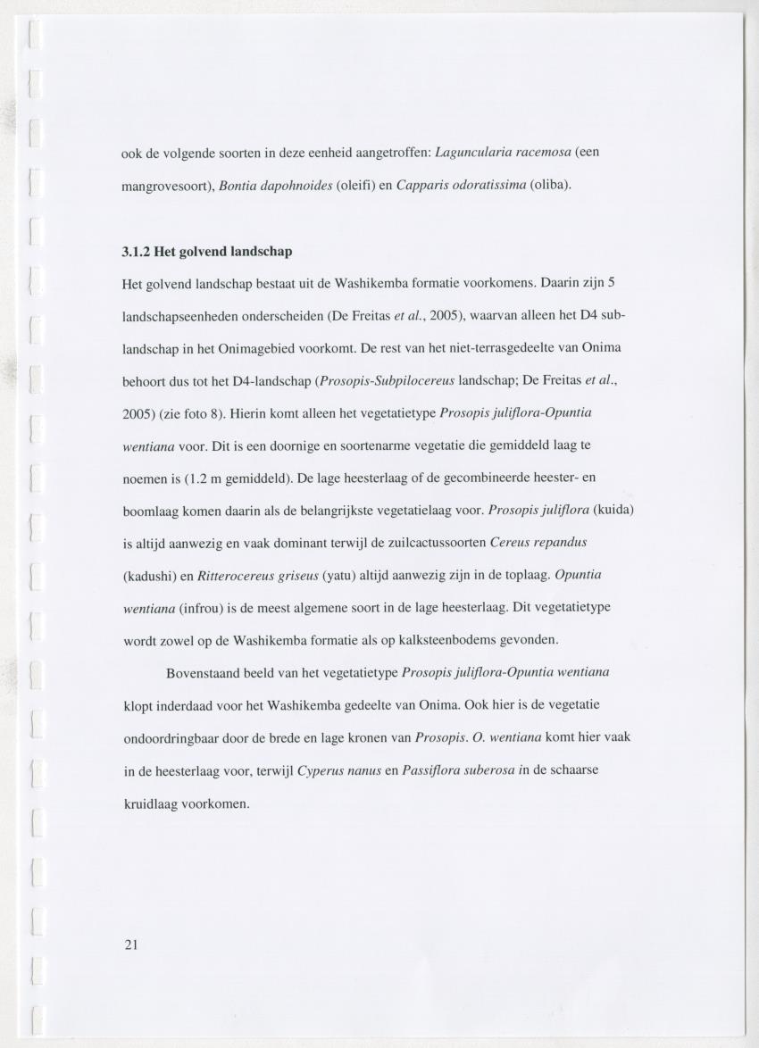 z Natuur- en cultuurhistorische waarden van plantage Onima, Bonaire - New Page