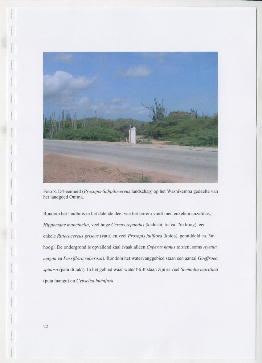 z Natuur- en cultuurhistorische waarden van plantage Onima, Bonaire - New Page