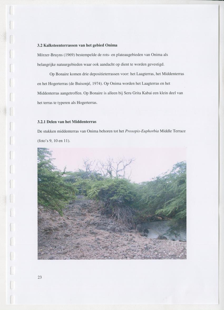 z Natuur- en cultuurhistorische waarden van plantage Onima, Bonaire - New Page