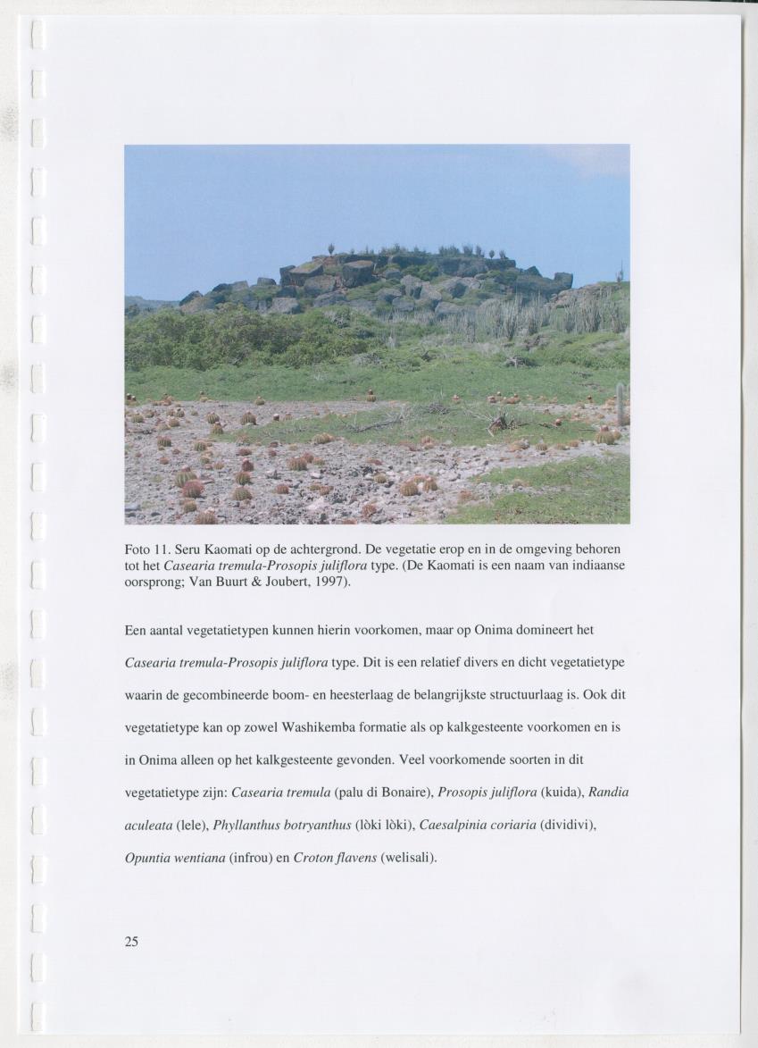 z Natuur- en cultuurhistorische waarden van plantage Onima, Bonaire - New Page