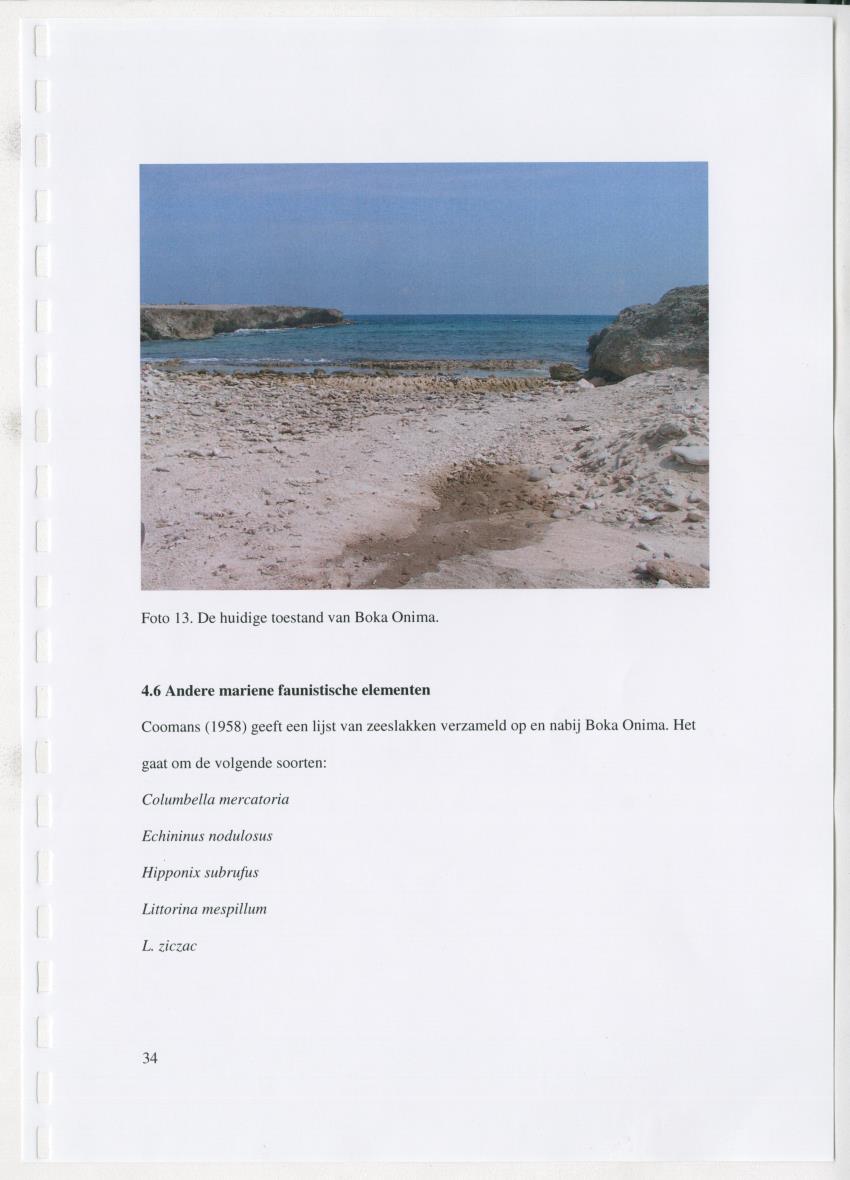 z Natuur- en cultuurhistorische waarden van plantage Onima, Bonaire - New Page