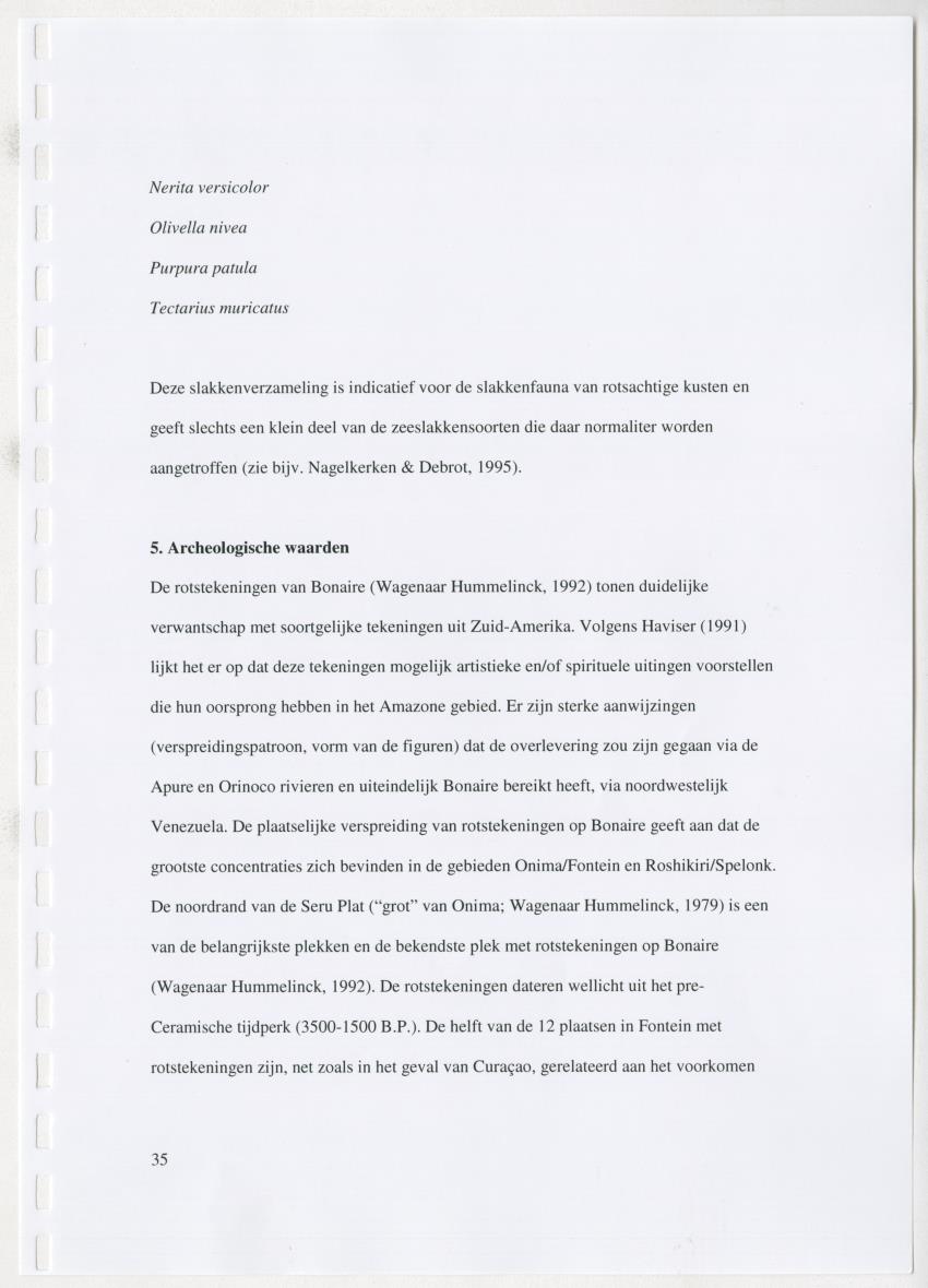 z Natuur- en cultuurhistorische waarden van plantage Onima, Bonaire - New Page