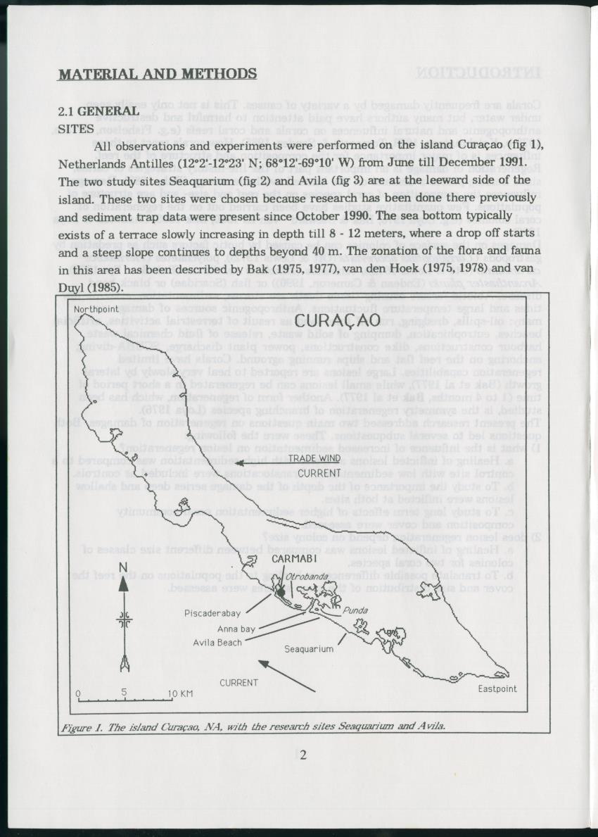 Z Regeneration of Siderastrea siderea in relation to sedimentation and of Diploria strigosa and Porites astreoides to colony size, and the influence of sedimentation on the coral community - New Page