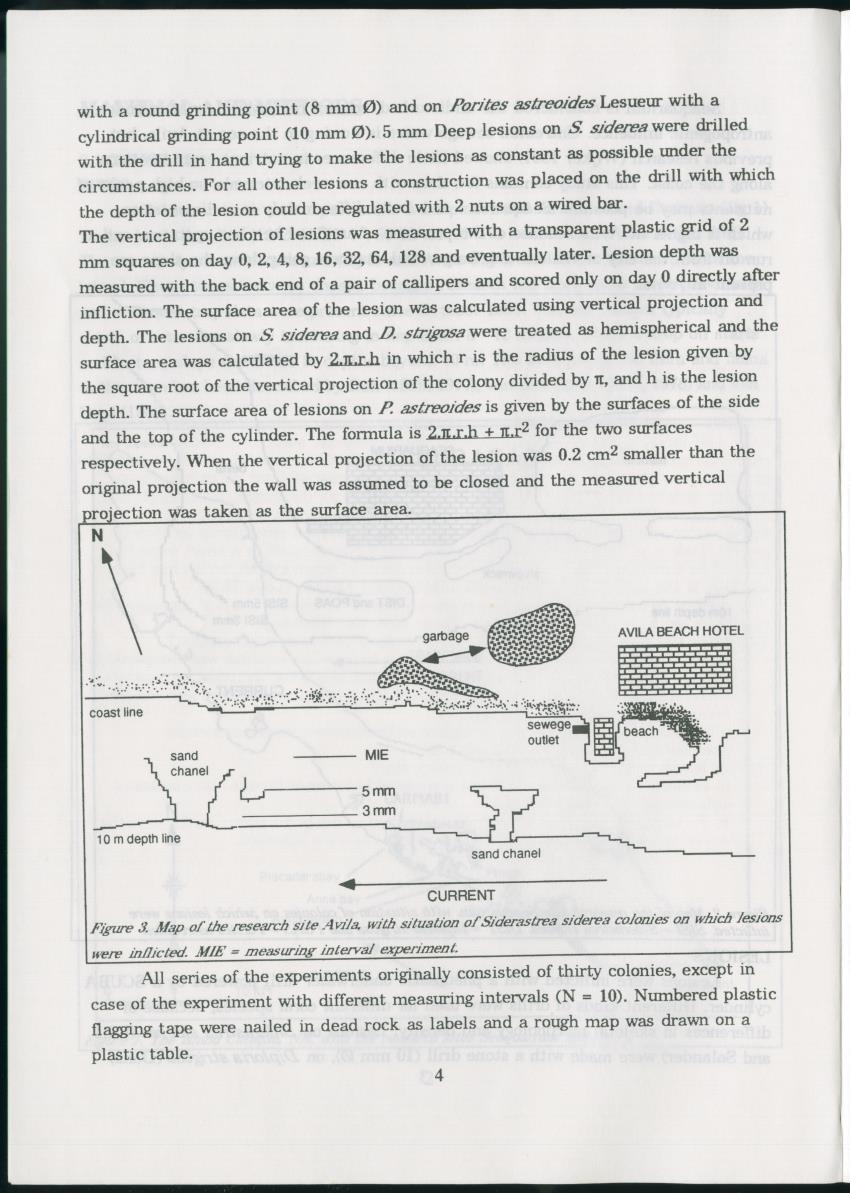 Z Regeneration of Siderastrea siderea in relation to sedimentation and of Diploria strigosa and Porites astreoides to colony size, and the influence of sedimentation on the coral community - New Page