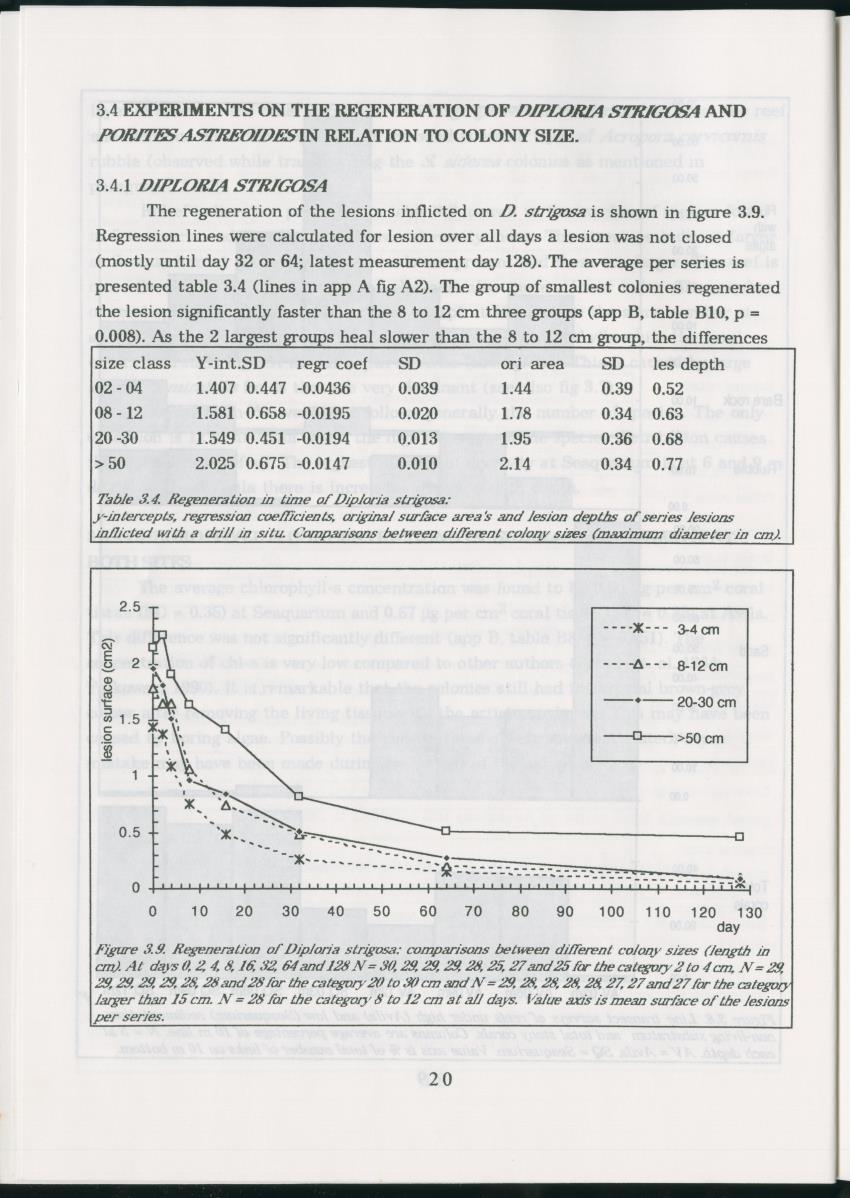 Z Regeneration of Siderastrea siderea in relation to sedimentation and of Diploria strigosa and Porites astreoides to colony size, and the influence of sedimentation on the coral community - New Page