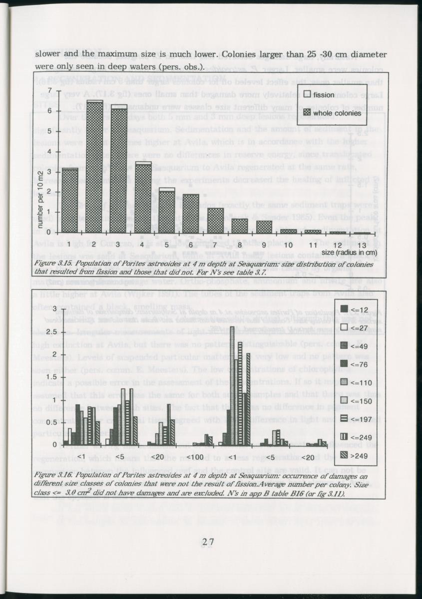 Z Regeneration of Siderastrea siderea in relation to sedimentation and of Diploria strigosa and Porites astreoides to colony size, and the influence of sedimentation on the coral community - New Page
