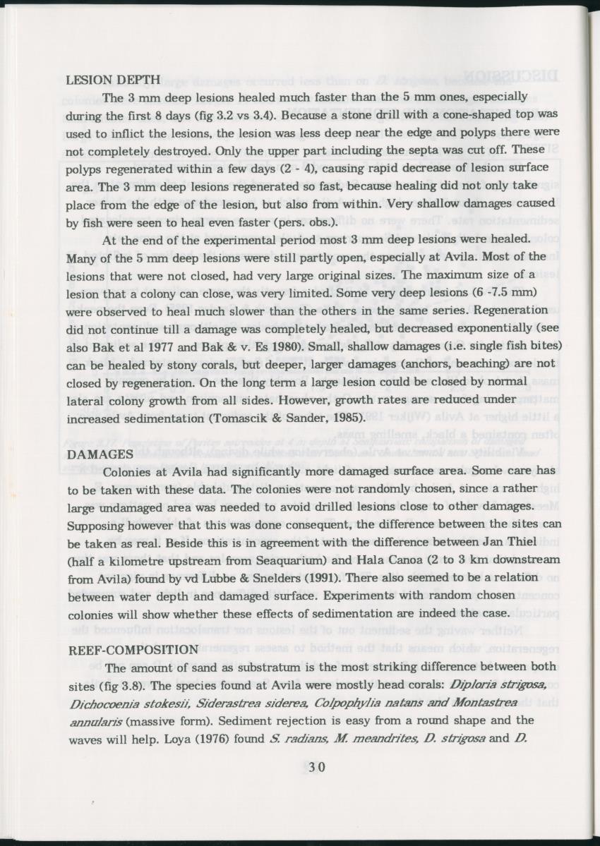Z Regeneration of Siderastrea siderea in relation to sedimentation and of Diploria strigosa and Porites astreoides to colony size, and the influence of sedimentation on the coral community - New Page