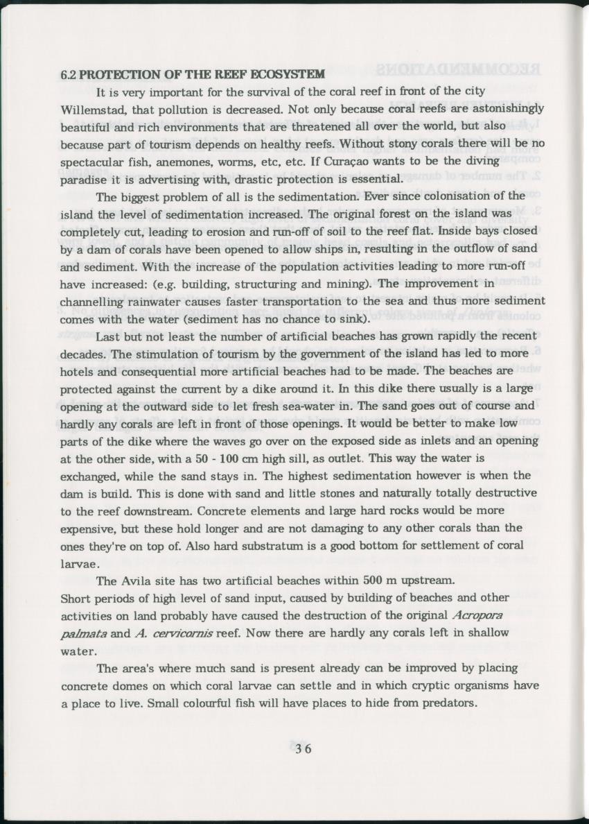 Z Regeneration of Siderastrea siderea in relation to sedimentation and of Diploria strigosa and Porites astreoides to colony size, and the influence of sedimentation on the coral community - New Page