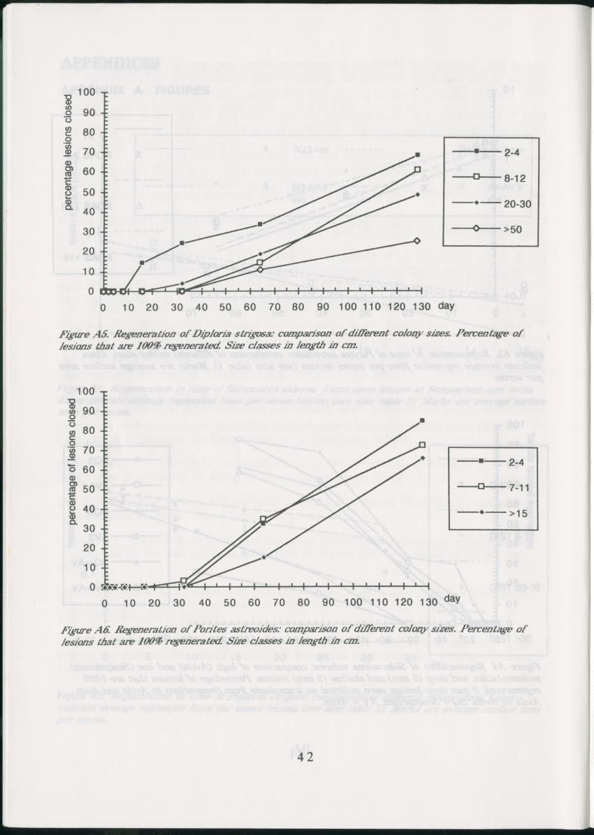 Z Regeneration of Siderastrea siderea in relation to sedimentation and of Diploria strigosa and Porites astreoides to colony size, and the influence of sedimentation on the coral community - New Page