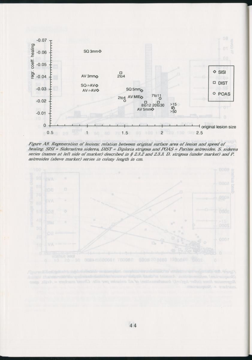 Z Regeneration of Siderastrea siderea in relation to sedimentation and of Diploria strigosa and Porites astreoides to colony size, and the influence of sedimentation on the coral community - New Page