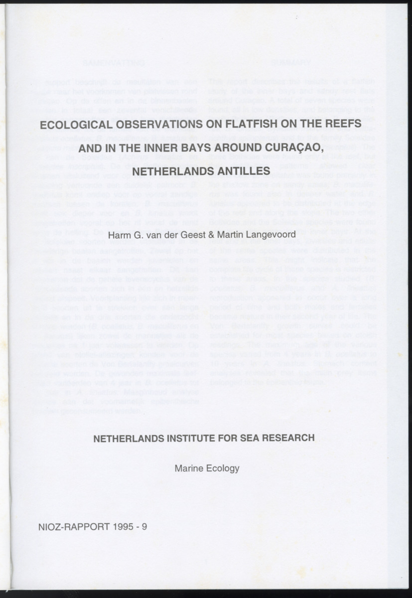 Ecological observations on flatfish on the reefs and in the inner bays around Curacao, Netherlands Antilles - New Page