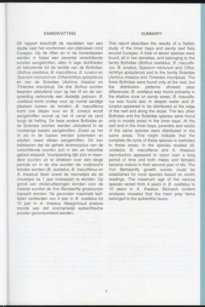 Ecological observations on flatfish on the reefs and in the inner bays around Curacao, Netherlands Antilles - New Page