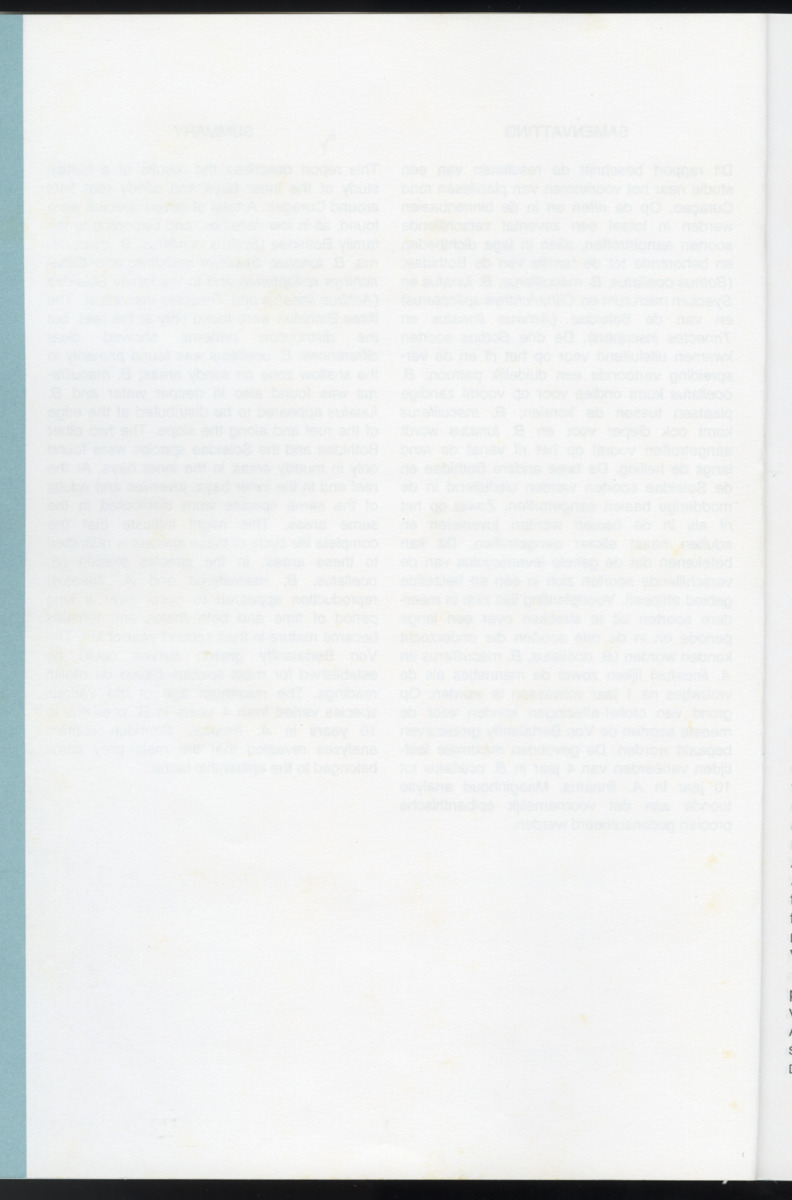 Ecological observations on flatfish on the reefs and in the inner bays around Curacao, Netherlands Antilles - New Page