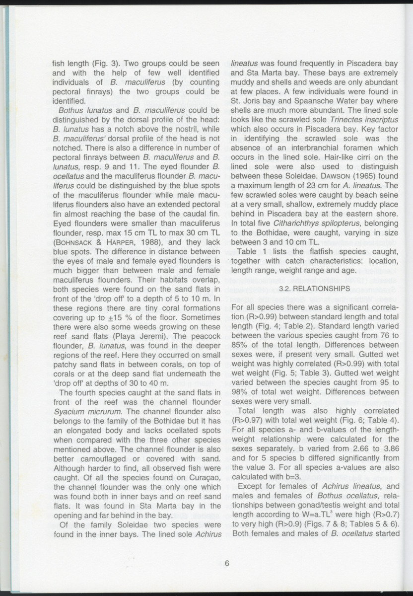 Ecological observations on flatfish on the reefs and in the inner bays around Curacao, Netherlands Antilles - New Page