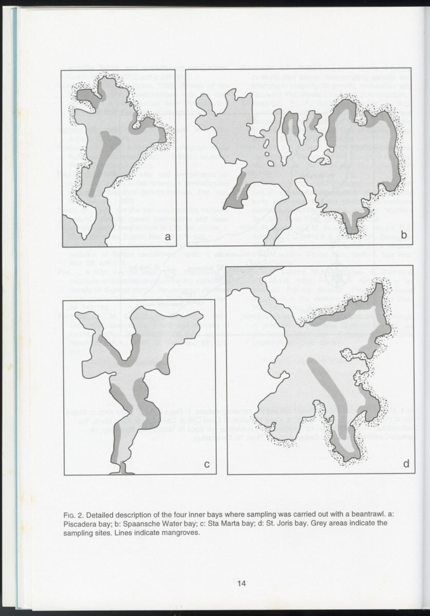Ecological observations on flatfish on the reefs and in the inner bays around Curacao, Netherlands Antilles - New Page