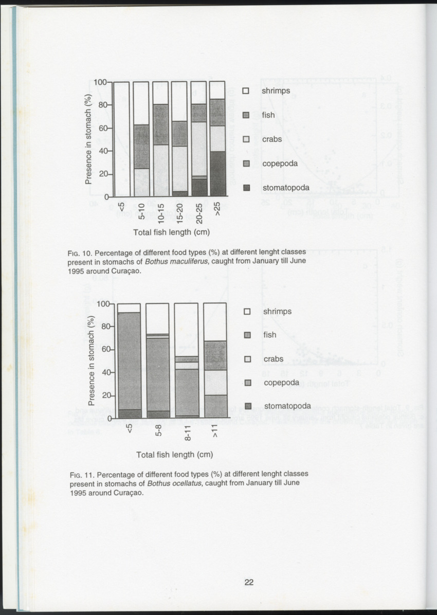 Ecological observations on flatfish on the reefs and in the inner bays around Curacao, Netherlands Antilles - New Page