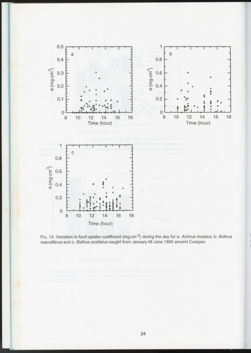 Ecological observations on flatfish on the reefs and in the inner bays around Curacao, Netherlands Antilles - New Page