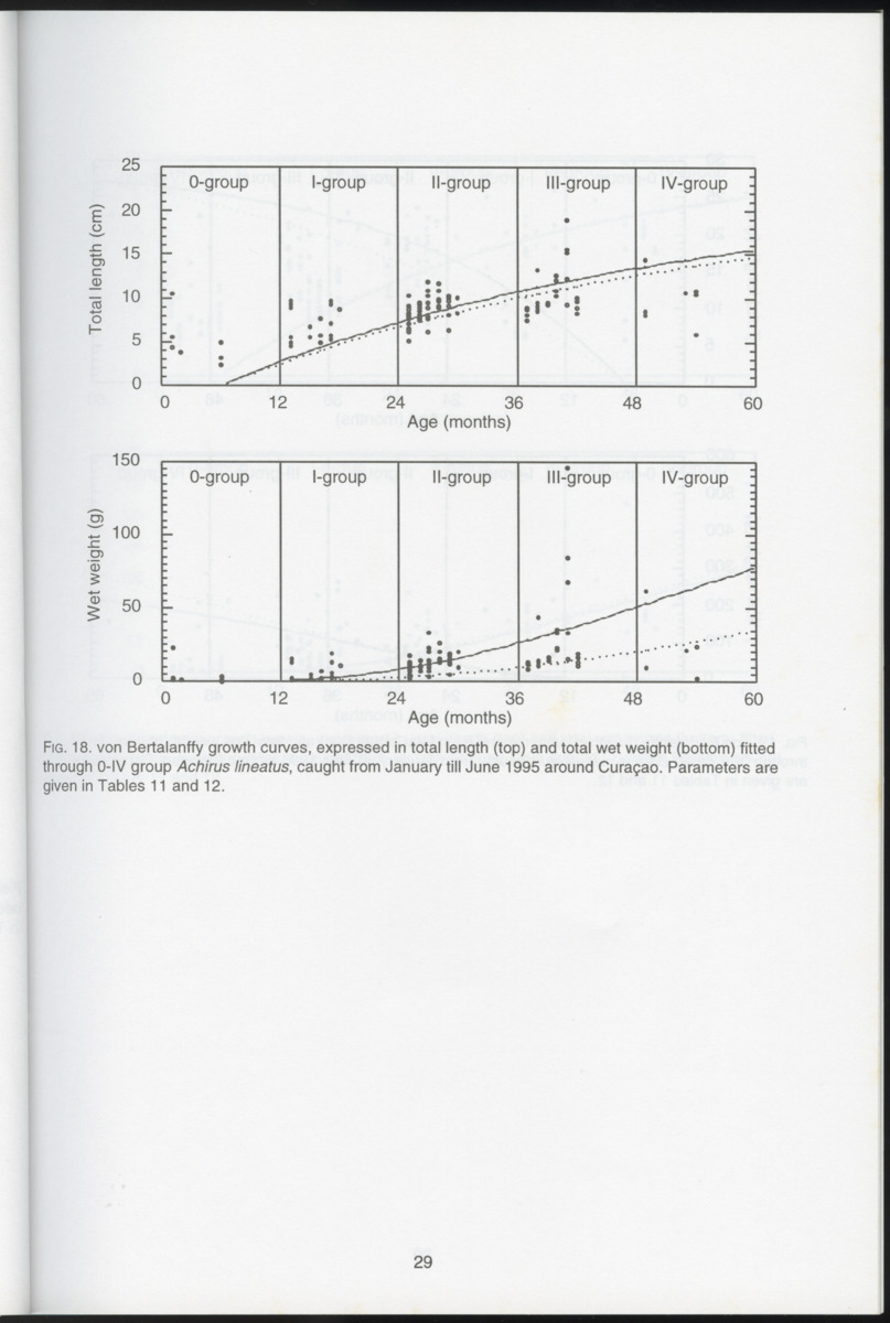 Ecological observations on flatfish on the reefs and in the inner bays around Curacao, Netherlands Antilles - New Page