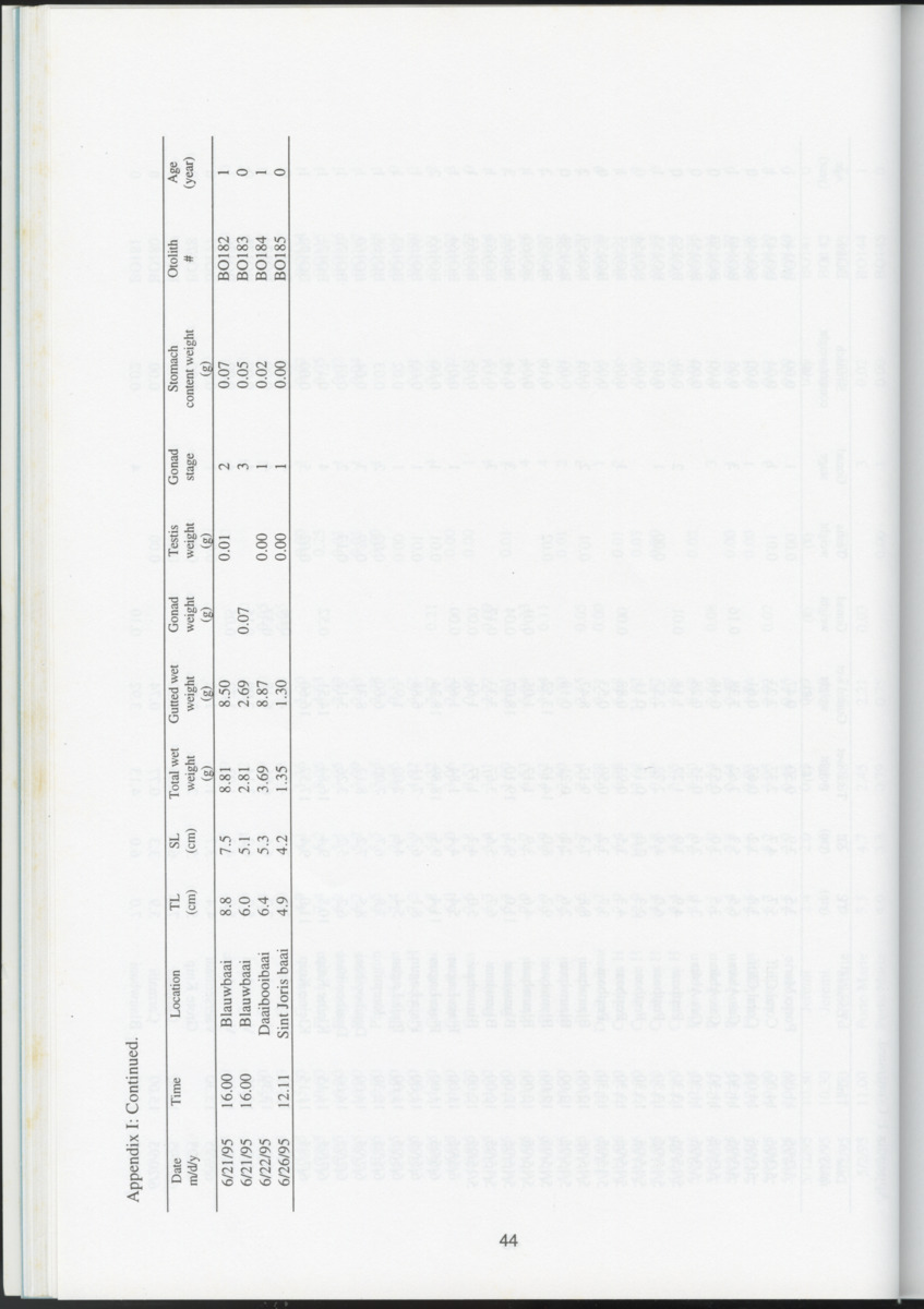 Ecological observations on flatfish on the reefs and in the inner bays around Curacao, Netherlands Antilles - New Page