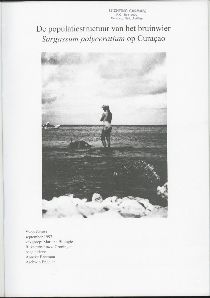 De populatiestructuur van het bruinwier Sargassum polyceratium op Curacao - New Page