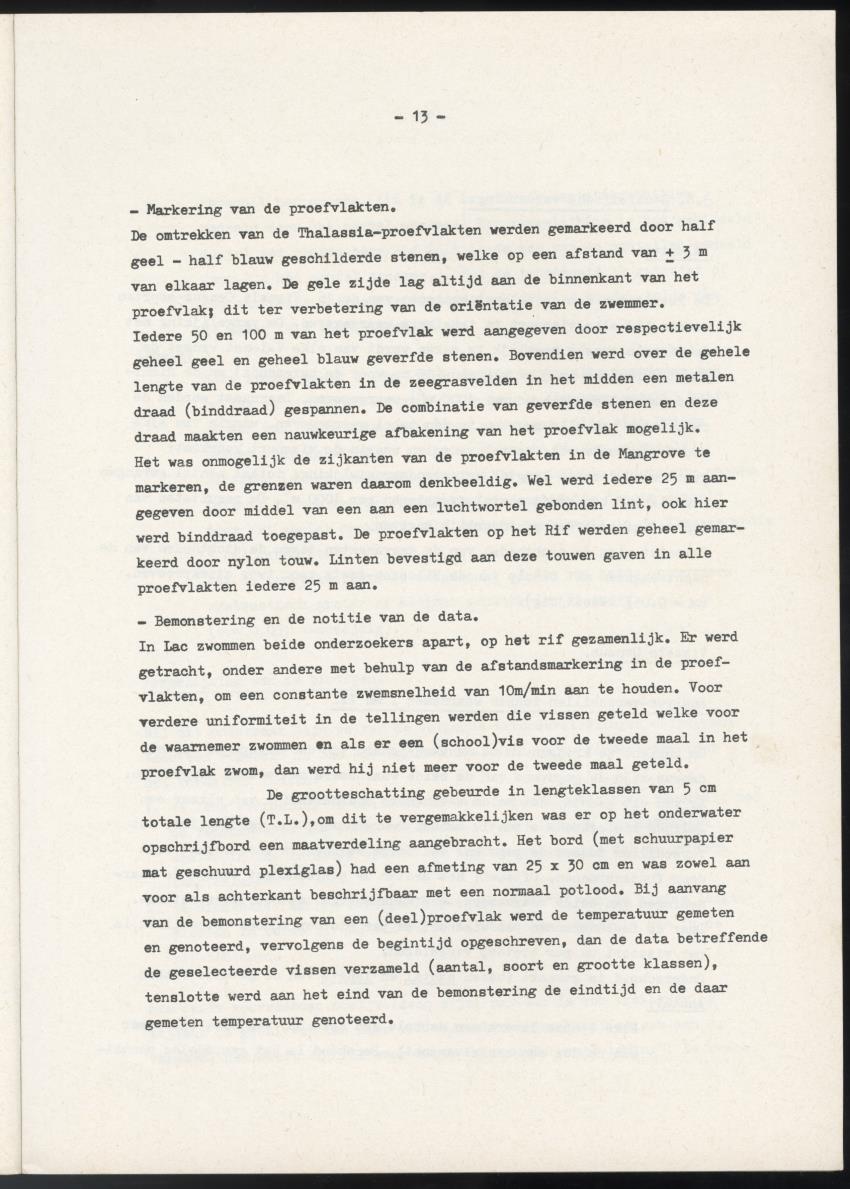 Het belang van de zeegrasvelden en de mangrovebossen in de lagune Lac voor de vissen in Lac en voor de vissen op het rond Bonaire gelegen koraalrif - New Page