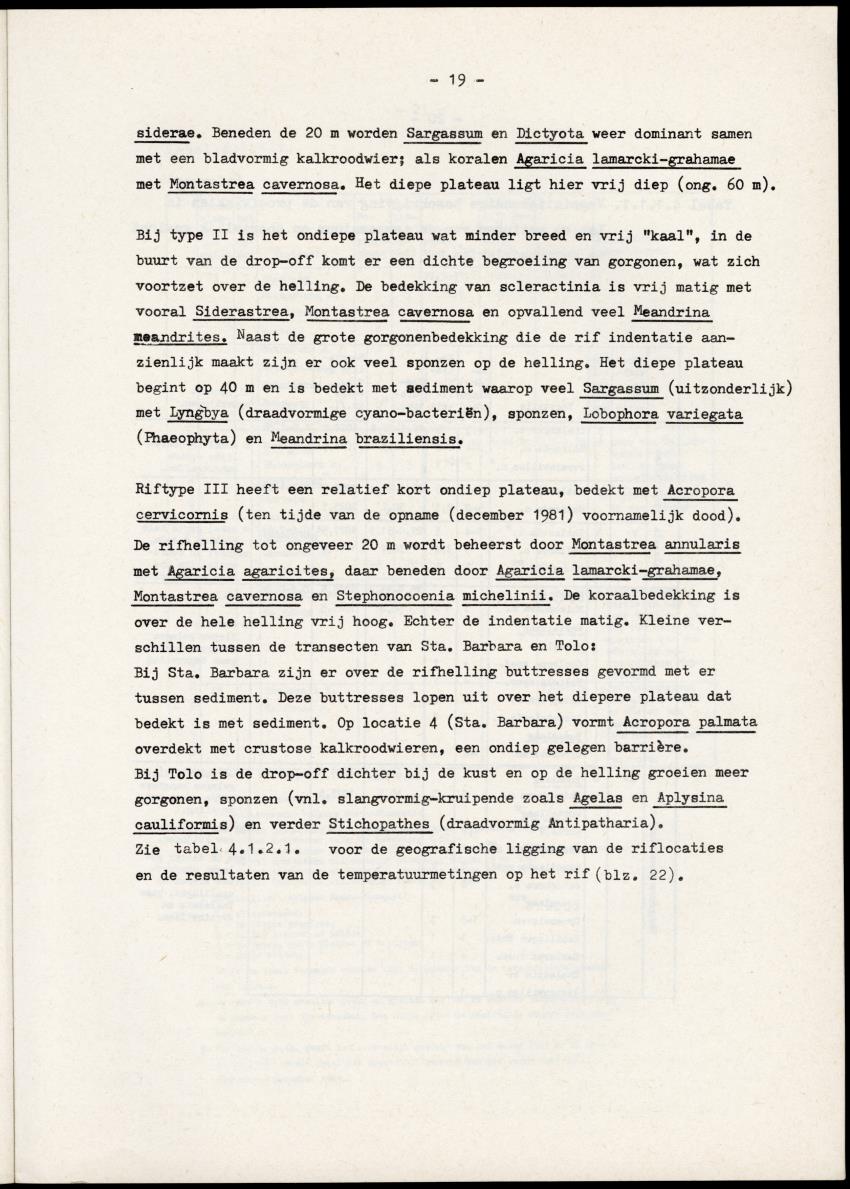 Het belang van de zeegrasvelden en de mangrovebossen in de lagune Lac voor de vissen in Lac en voor de vissen op het rond Bonaire gelegen koraalrif - New Page