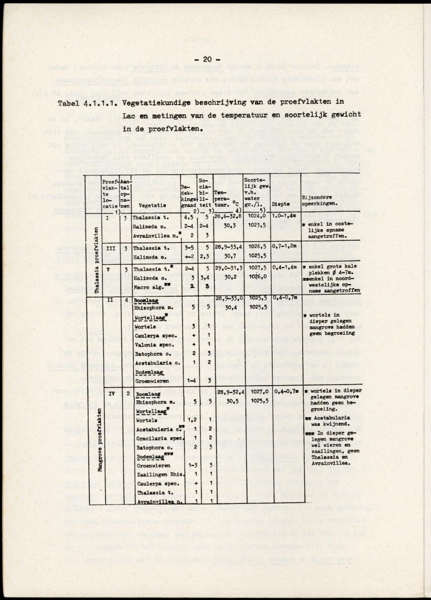 Het belang van de zeegrasvelden en de mangrovebossen in de lagune Lac voor de vissen in Lac en voor de vissen op het rond Bonaire gelegen koraalrif - New Page