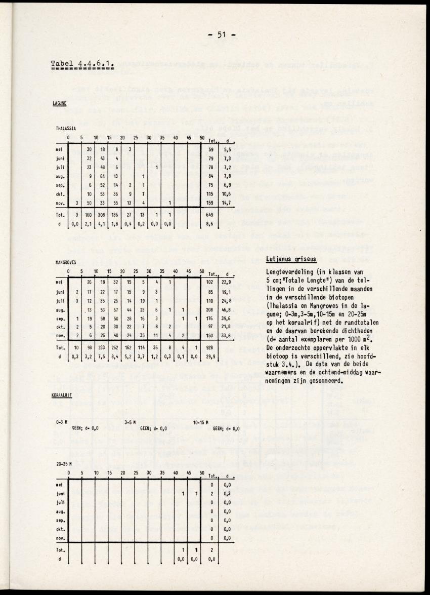 Het belang van de zeegrasvelden en de mangrovebossen in de lagune Lac voor de vissen in Lac en voor de vissen op het rond Bonaire gelegen koraalrif - New Page