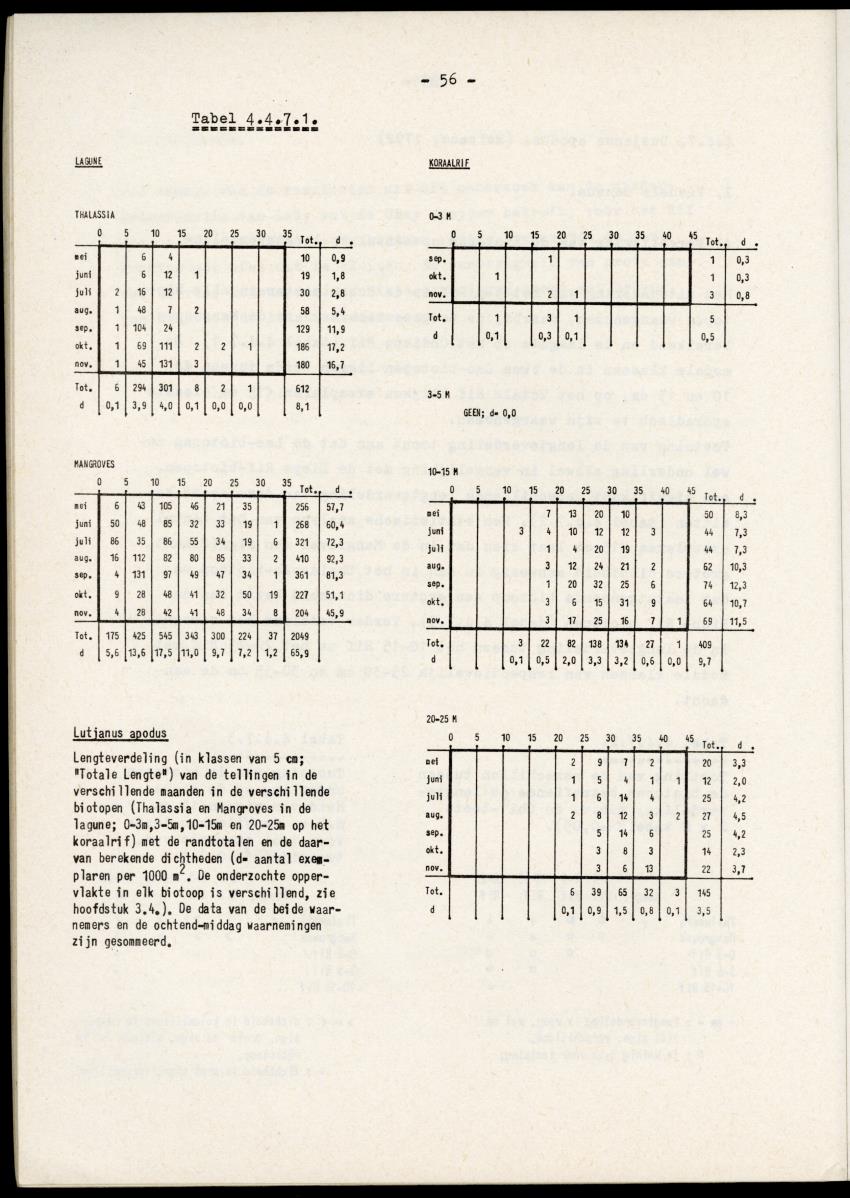Het belang van de zeegrasvelden en de mangrovebossen in de lagune Lac voor de vissen in Lac en voor de vissen op het rond Bonaire gelegen koraalrif - New Page