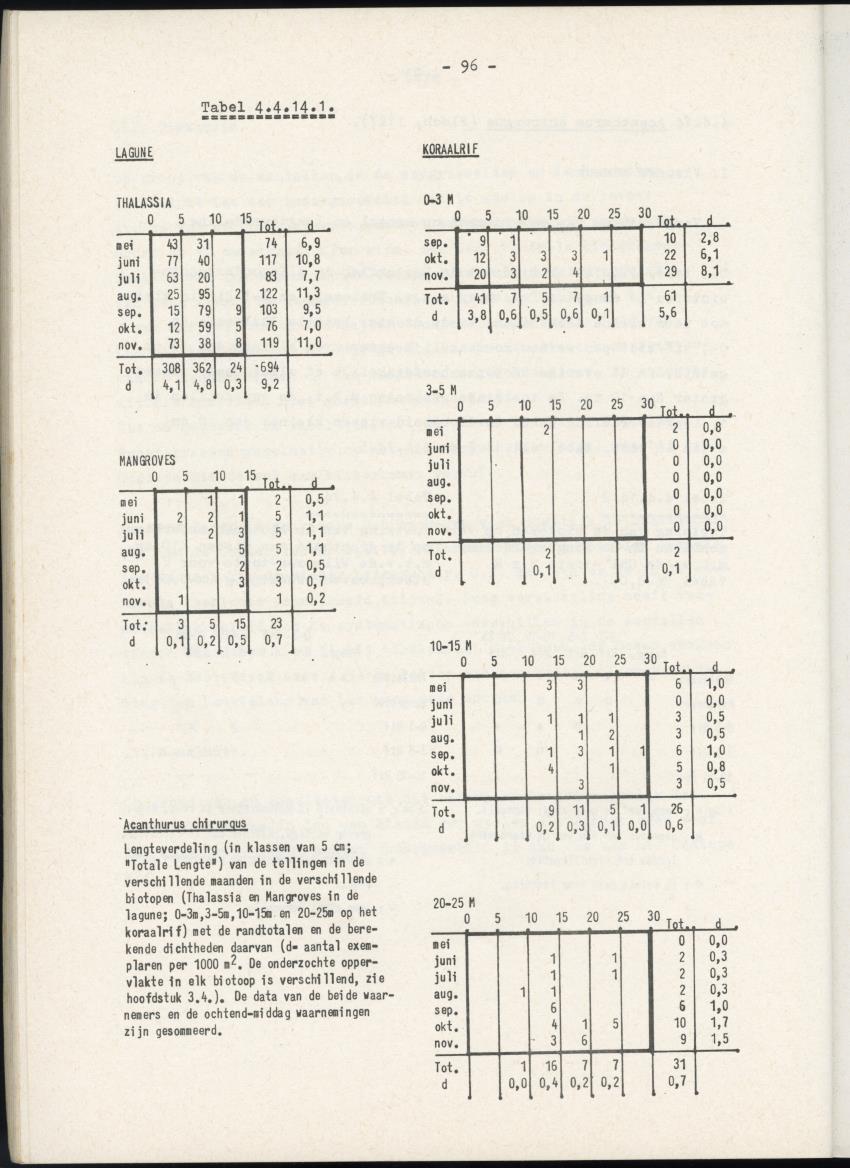 Het belang van de zeegrasvelden en de mangrovebossen in de lagune Lac voor de vissen in Lac en voor de vissen op het rond Bonaire gelegen koraalrif - New Page