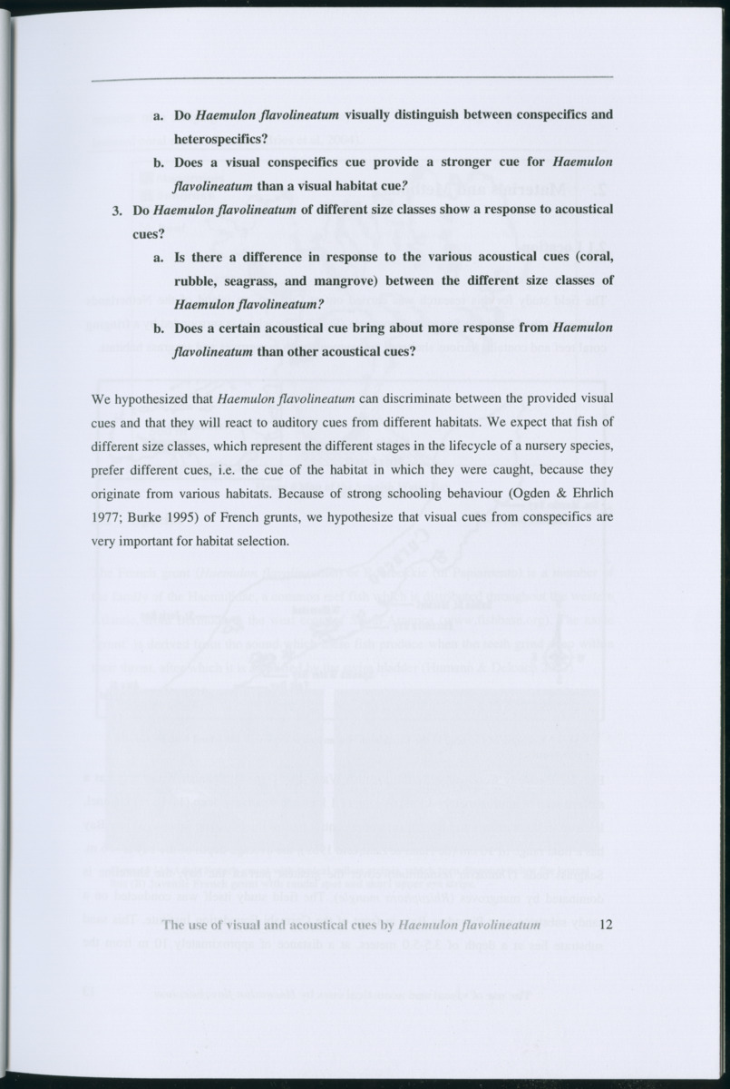 Z Habitat selection by coral fish - Use of visual and acoustical cues by Haemulon flavolineatum - New Page