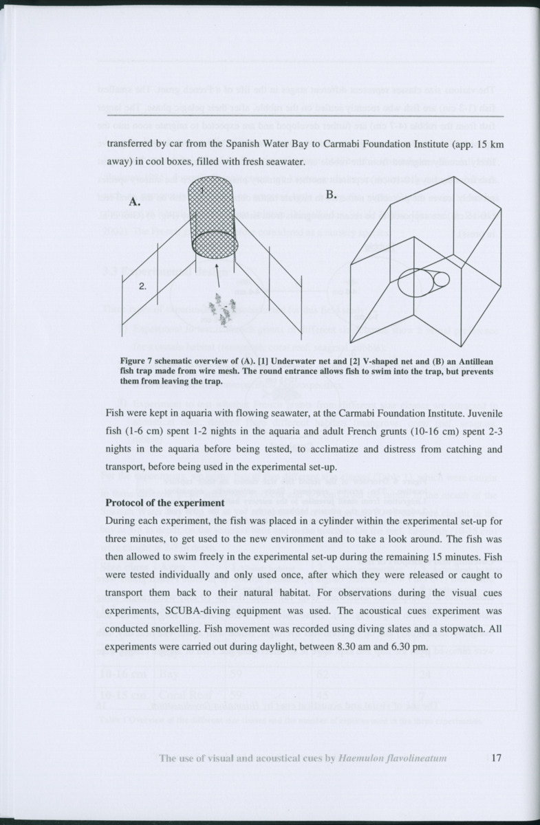 Z Habitat selection by coral fish - Use of visual and acoustical cues by Haemulon flavolineatum - New Page