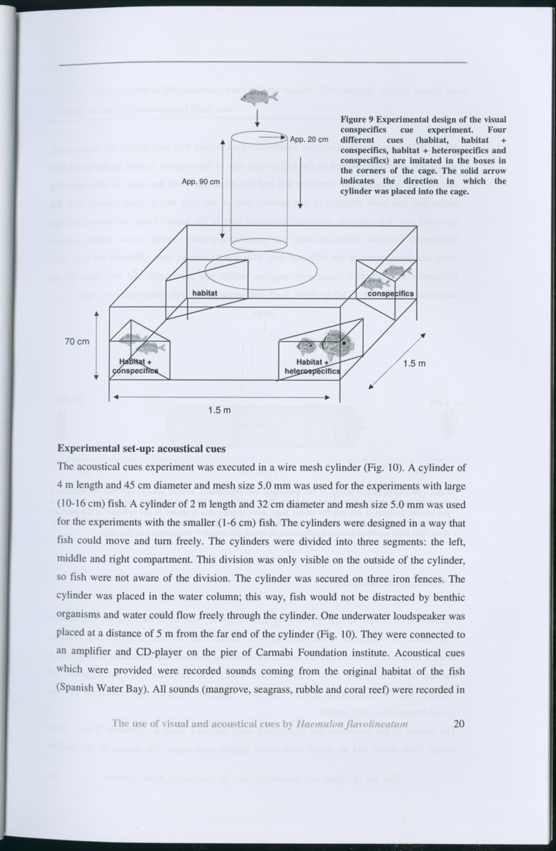 Z Habitat selection by coral fish - Use of visual and acoustical cues by Haemulon flavolineatum - New Page