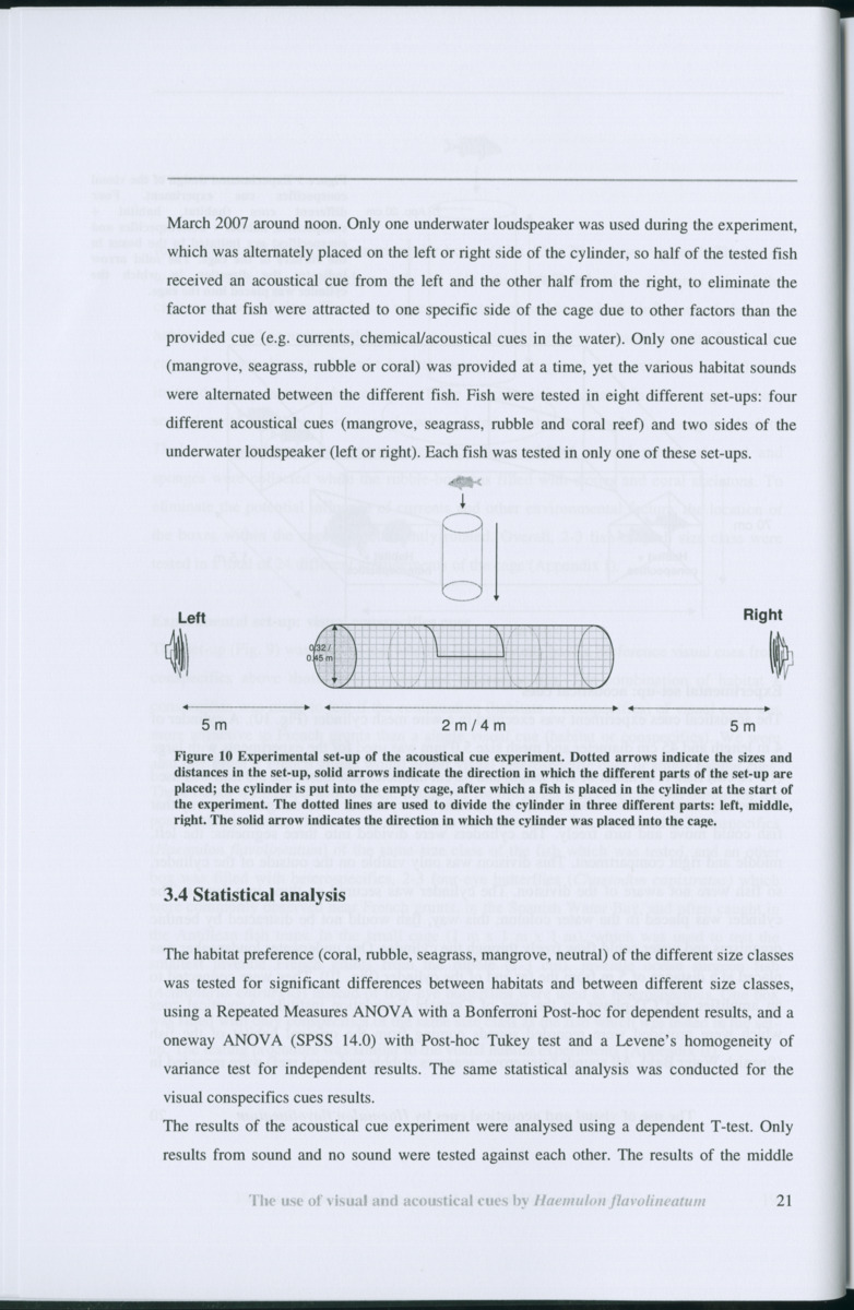Z Habitat selection by coral fish - Use of visual and acoustical cues by Haemulon flavolineatum - New Page