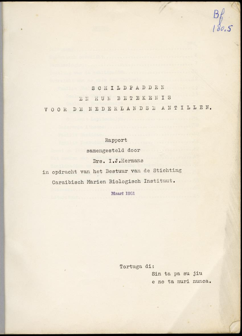 Z Schildpadden en hun betekenis voor de Nederlandse Antillen - New Page