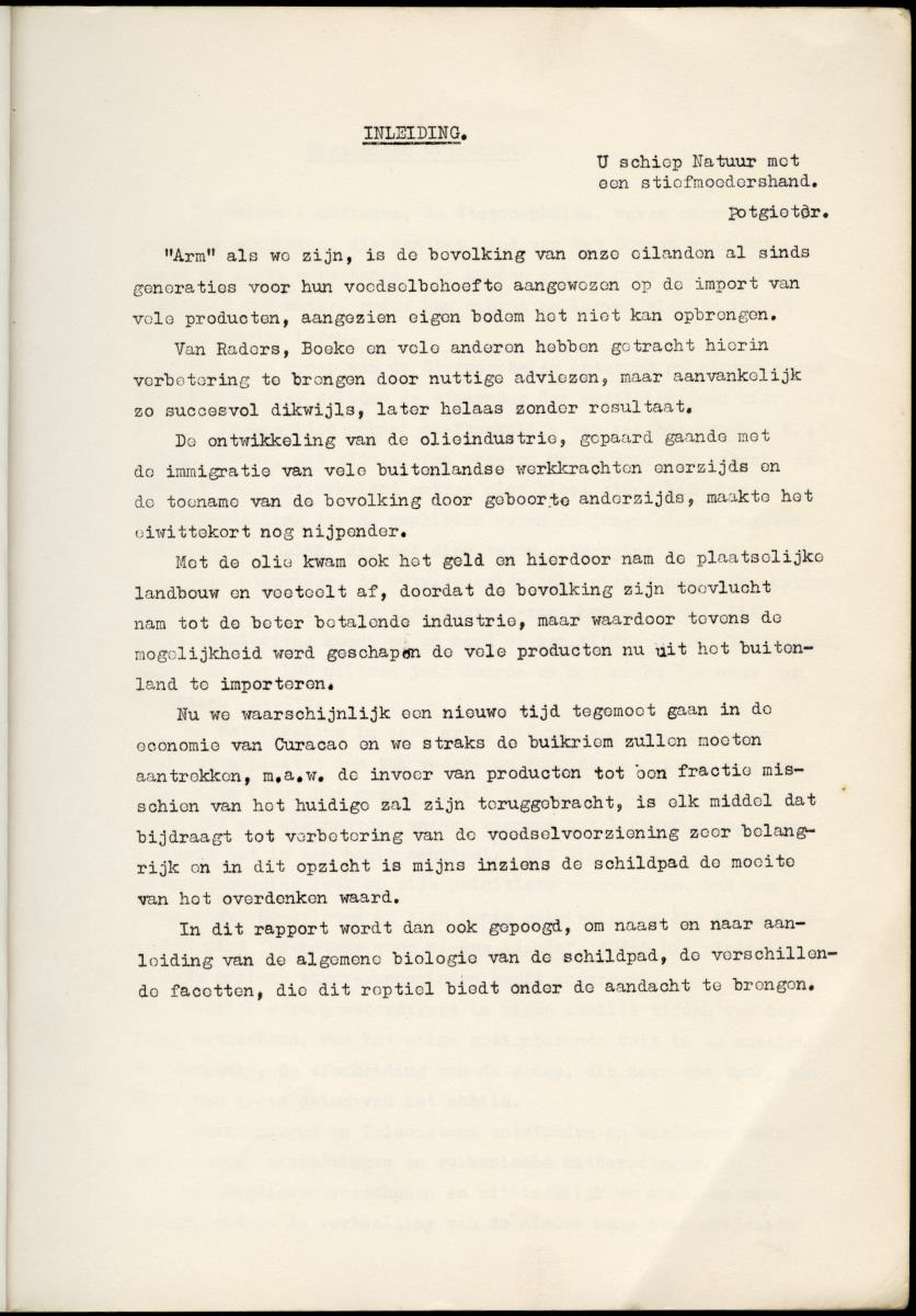 Z Schildpadden en hun betekenis voor de Nederlandse Antillen - New Page