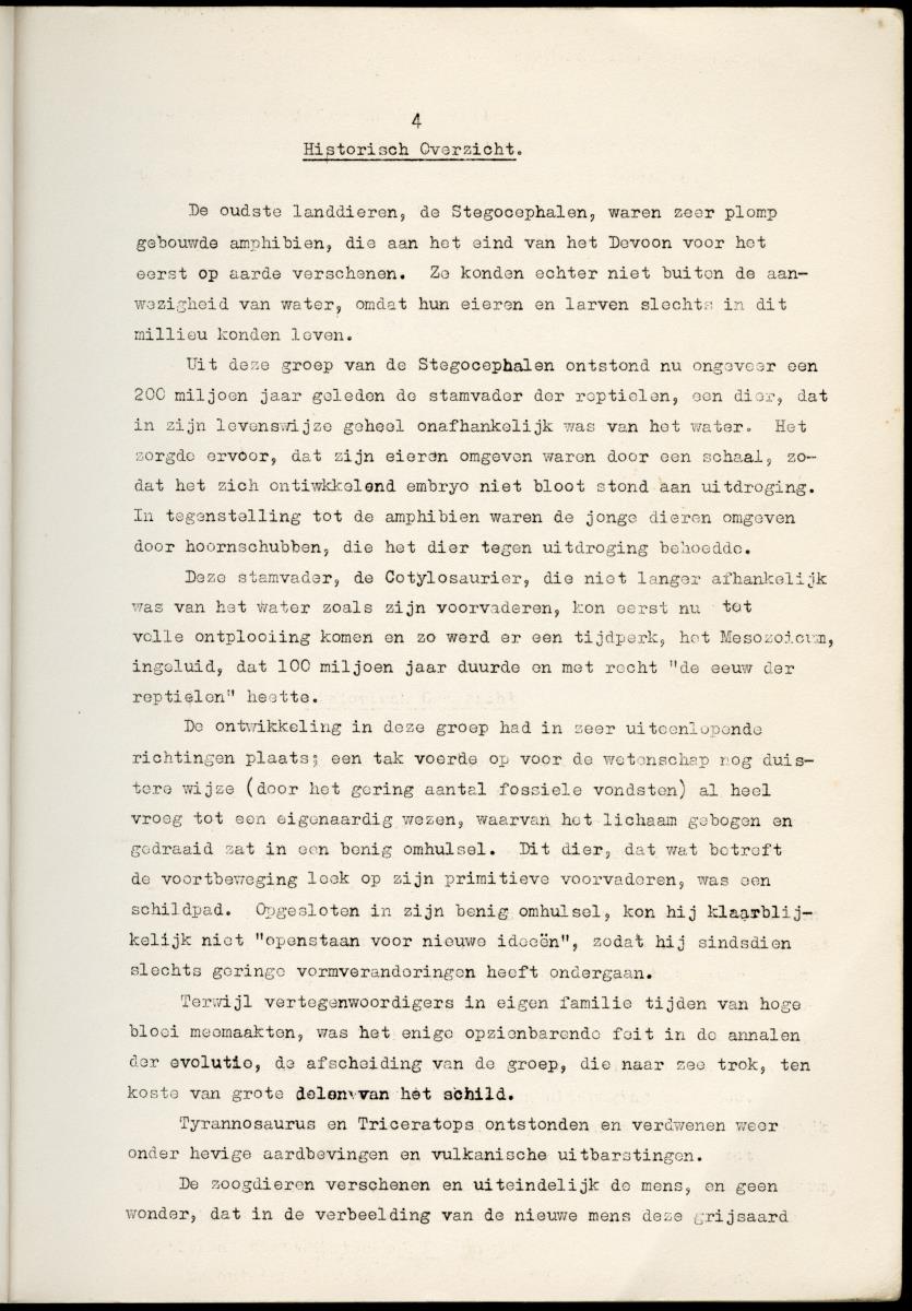 Z Schildpadden en hun betekenis voor de Nederlandse Antillen - New Page