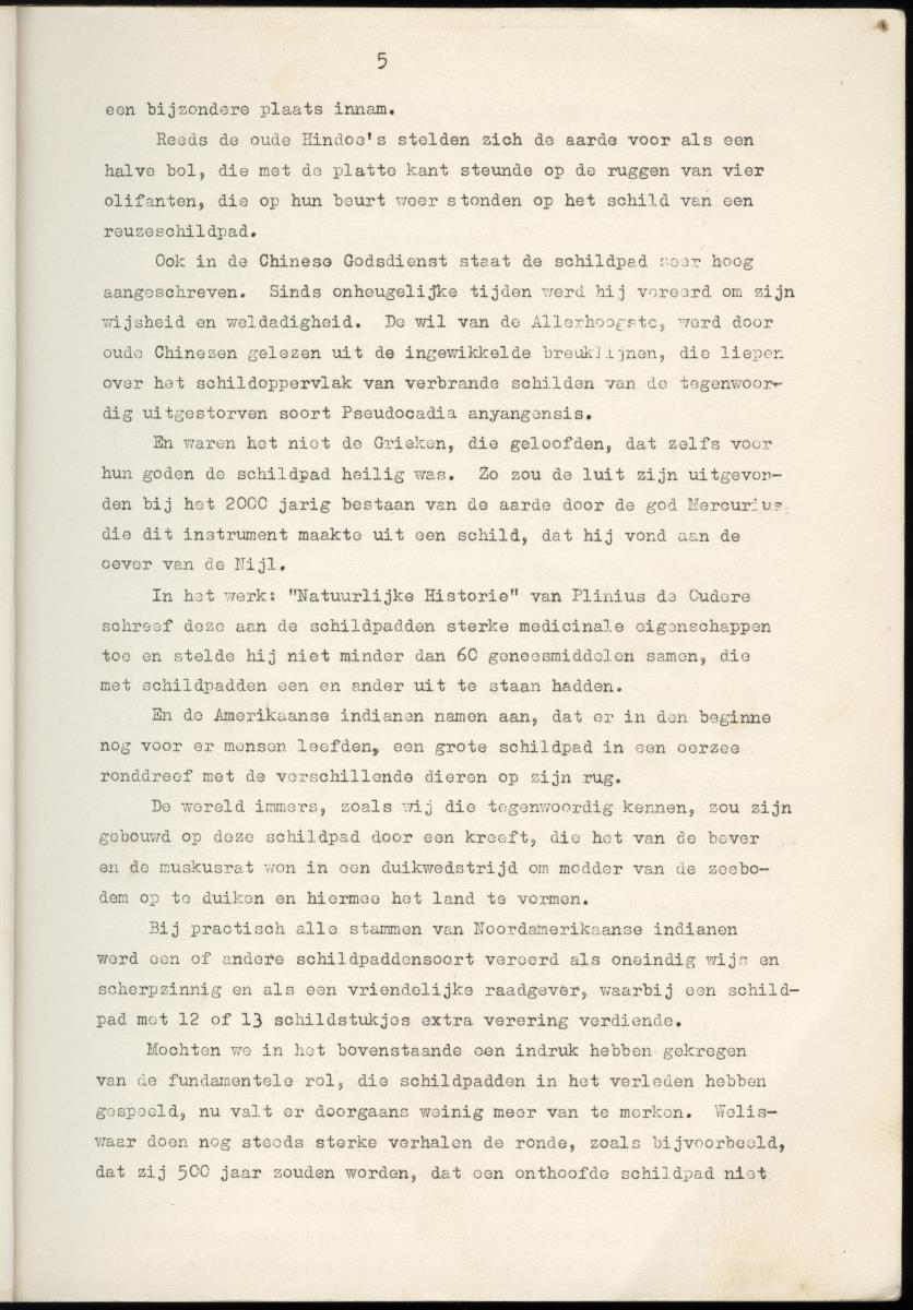 Z Schildpadden en hun betekenis voor de Nederlandse Antillen - New Page