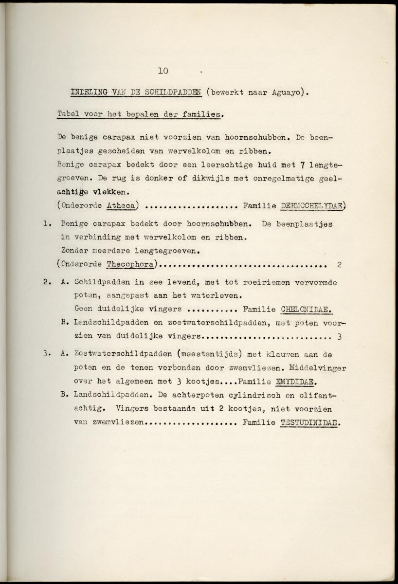 Z Schildpadden en hun betekenis voor de Nederlandse Antillen - New Page